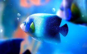 A Beautiful Ocean Blue Fish Soars Elegantly Through The Crystal-clear Waters Wallpaper