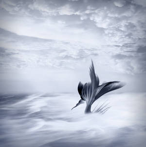 A Beautiful, Pristine Image Of A Mermaid's Tail Silhouetted Against A Blue Sky Filled With Fluffy Clouds Wallpaper