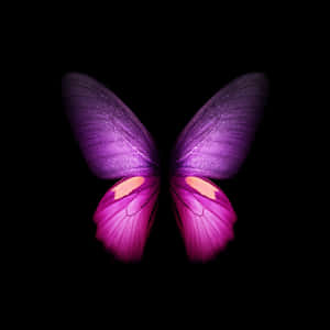 A Beautiful Purple Butterfly Adorns This Iphone Screen. Wallpaper