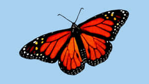 A Beautiful Red Butterfly Perched And Ready To Take Flight. Wallpaper