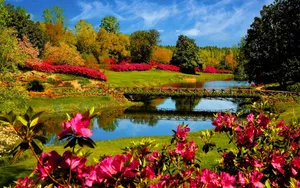 A Beautiful River View Of Spring Flowers. Wallpaper