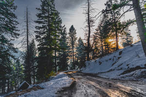 A Beautiful Road In The Winter, Covered In Snow. Wallpaper