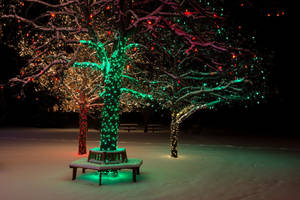 A Beautiful Tree Lit Up With Christmas Lights In A Snowy Park Wallpaper