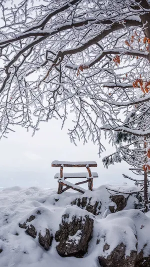 A Beautiful Winter Scene Of Nature In Nature Wallpaper