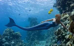 A Beautifully Tailed Mermaid Swims In The Sea Wallpaper