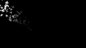 A Black Background With White Stars Flying In The Air Wallpaper