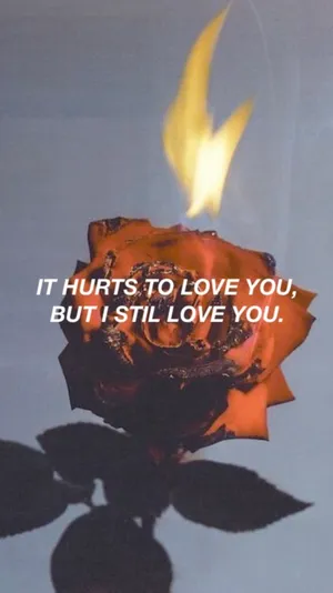 A Black Rose, Bewitching And Mysterious Wallpaper