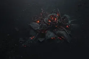 A Black Rose With Flames On It Wallpaper