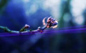 A Bloom Of Magical Possibility Wallpaper