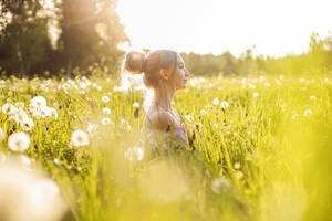 A Blossoming Spring Afternoon Wallpaper