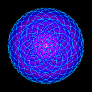 A Blue And Purple Flower On A Black Background Wallpaper