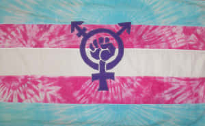 A Blue And White Flag With A Symbol Of A Woman Wallpaper