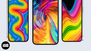 A Bold Expression Of Color Wallpaper