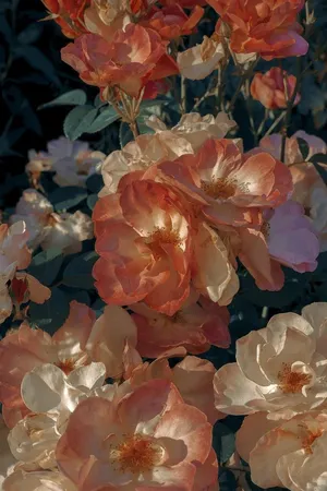 A Bouquet Of Vintage Pastel Flowers Wallpaper