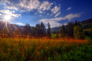 A Bright And Beautiful Sunshine Day Wallpaper