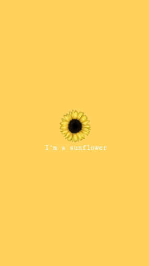 A Bright And Cheerful Sunflower Wallpaper