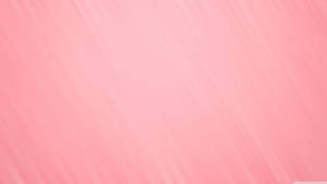 A Bright And Vibrant Pink And White Composition Wallpaper