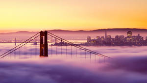 “a Brilliant Nighttime View Of San Francisco From The Golden Gate Bridge” Wallpaper