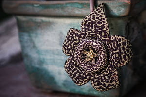 A Brown-spotted Cactus Flower Wallpaper