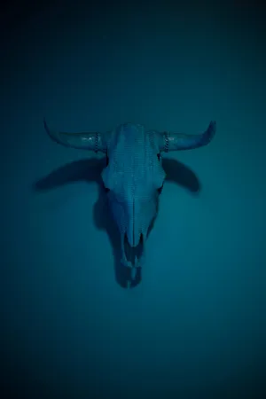 A Bull Skull Against A Blue Sky Wallpaper