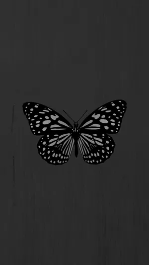 A Butterfly Is Shown On A Black Background Wallpaper