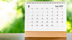 A Calendar With A Green Background On A Table Wallpaper