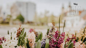 A Calendar With Flowers In Front Of It Wallpaper