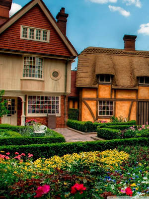 A Calm And Colorful Garden Home Wallpaper