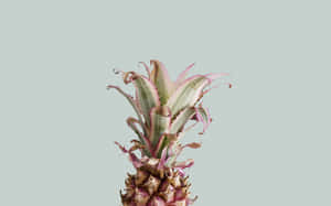 A Calming Tropical Escape Wallpaper