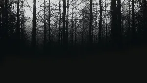 A Chilling Portrayal Of