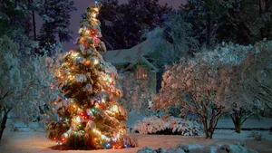 A Christmas Tree In The Snow With Lights On It Wallpaper