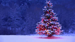 A Christmas Tree In The Snow With Lights On It Wallpaper