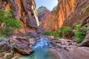 A Clear Lake In Zion National Park Wallpaper