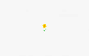 A Close-up Of A Beautiful Minimalist Flower Wallpaper