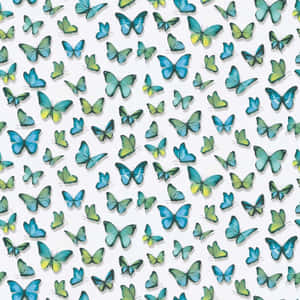 A Close-up Of A Green Butterfly Wallpaper