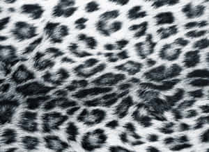 A Close Up Of A Leopard Print Background Wallpaper