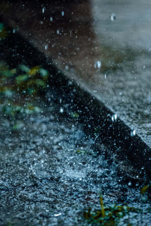 A Close Up Of A Rain Drop On A Sidewalk Wallpaper