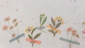 A Collage Of Flowers With Tape On It Wallpaper