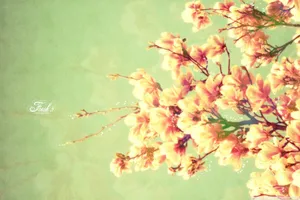 A Colorful Magnolia Flower Painting For Your Spring Desktop Wallpaper