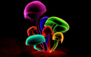 A Colorful Mushroom In The Dark Wallpaper