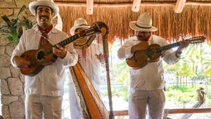 A Colorful Performance By A Traditional Mexican Man Wallpaper