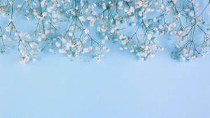 A Cute And Elegant Light Blue Background Wallpaper