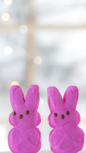 A Cute Pink Bunny Enjoying The Sunshine Wallpaper