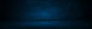 A Dance Of Shadows - Mesmerizing Dark Forest Wallpaper
