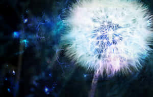 A Dandelion With A Blue And Purple Background Wallpaper