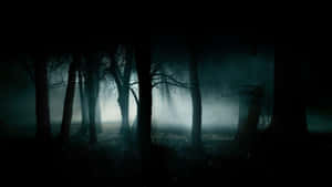 A Dark Forest With Fog And Light Wallpaper