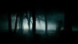 A Dark Forest With Fog And Light Wallpaper