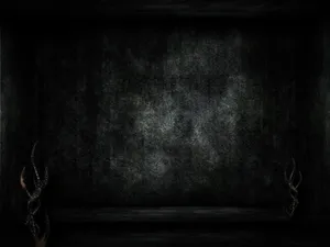 A Dark Room With A Skeleton And A Cactus Wallpaper