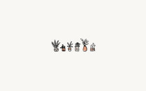 A Drawing Of A Bunch Of Plants In Vases Wallpaper