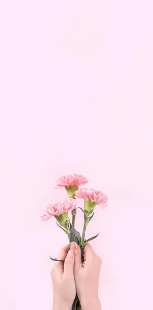 A Dreamy Aesthetic Of Baby Pink Wallpaper